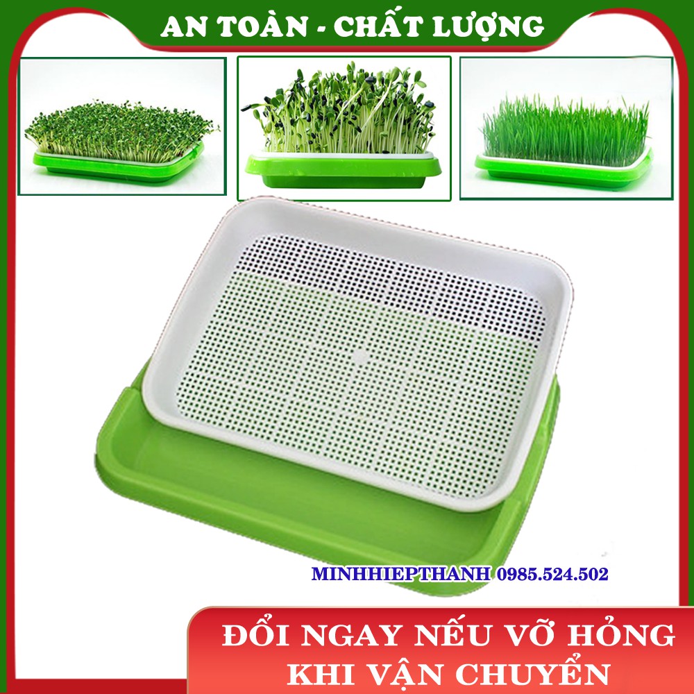 Khay trồng Rau mầm Thủy canh, Chậu trồng Rau mầm 2 lớp