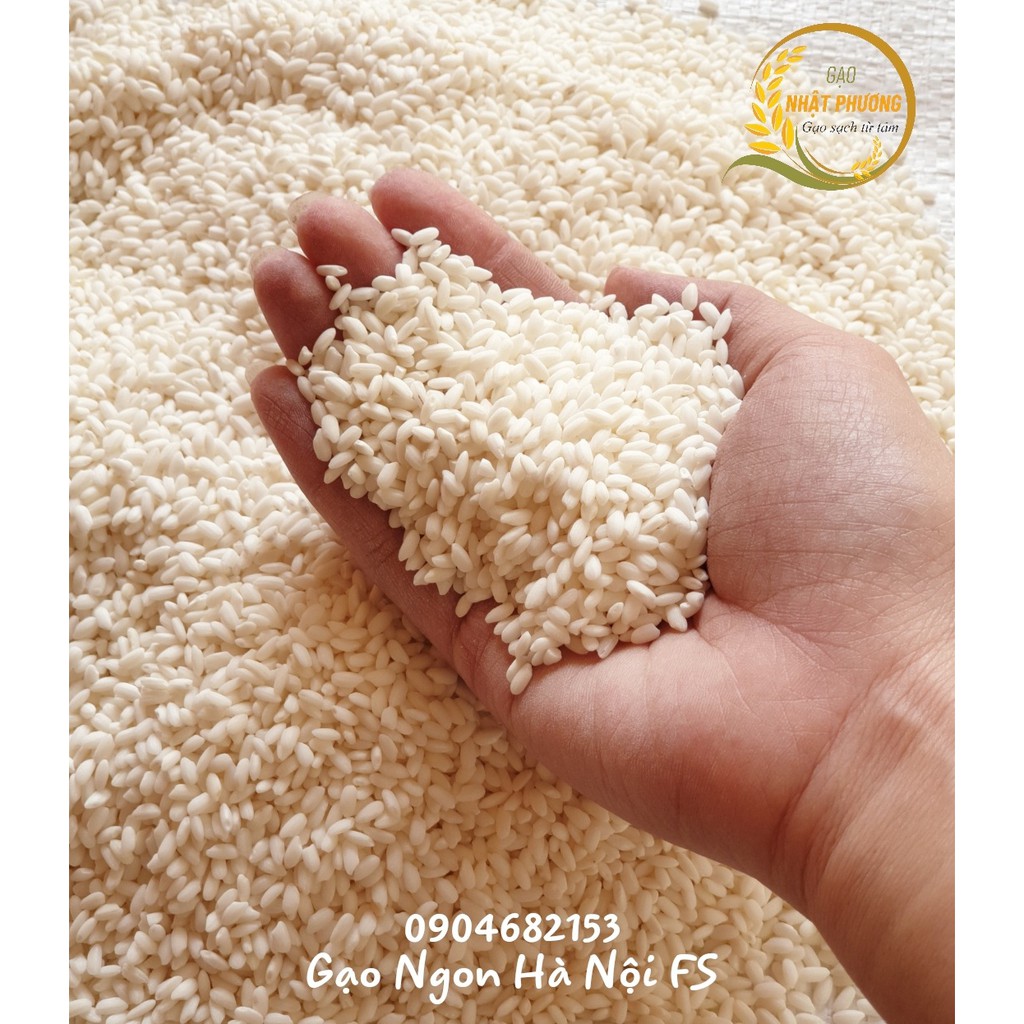 Gạo Nếp Nhung Hạt To túi 1kg