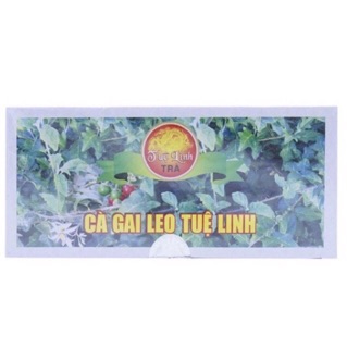 Trà Cà Gai Leo Tuệ Linh (Giúp bảo vệ và phục hồi tế bào gan...)