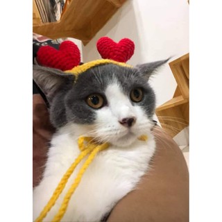 Nón len cho GÂU ĐẦN NÓN TUẦN LỘC GIÁNG SINH handmade cho PET chó, mèo,. thỏ, chuột ú.....