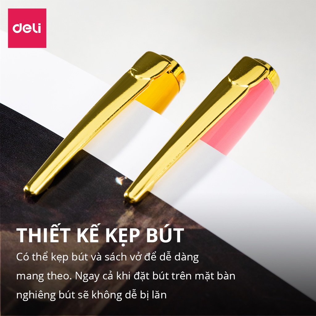 Bút máy kim loại Deli họa tiết đáng yêu  CQ893 / Bút mực luyện chữ đẹp Q893