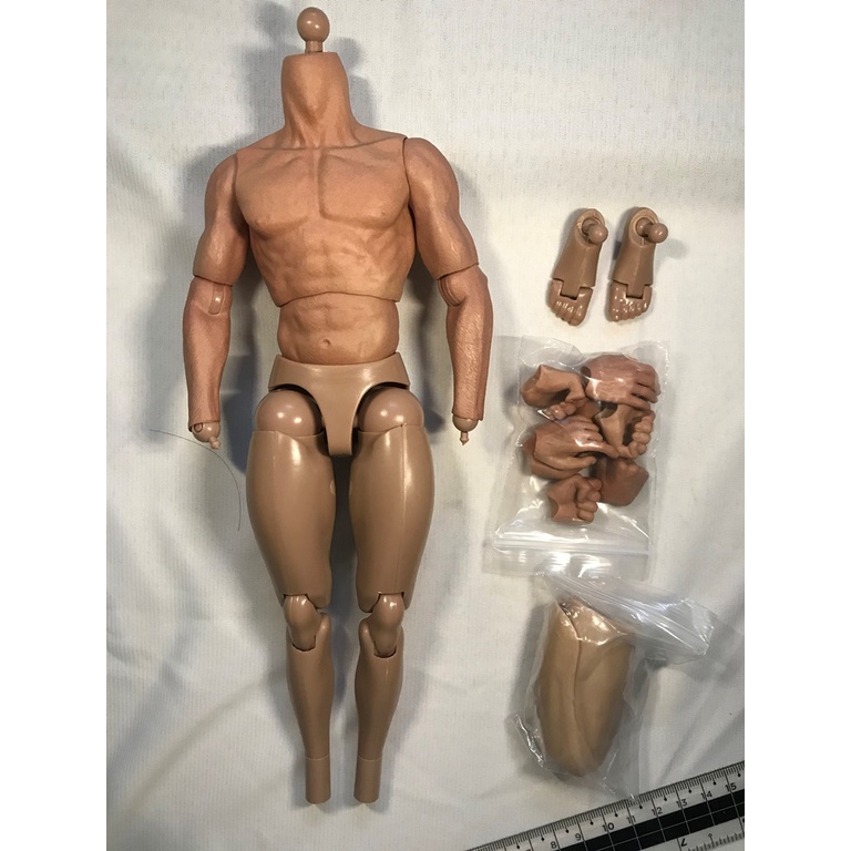 Mô hình 1/6 body nam ZCtoys