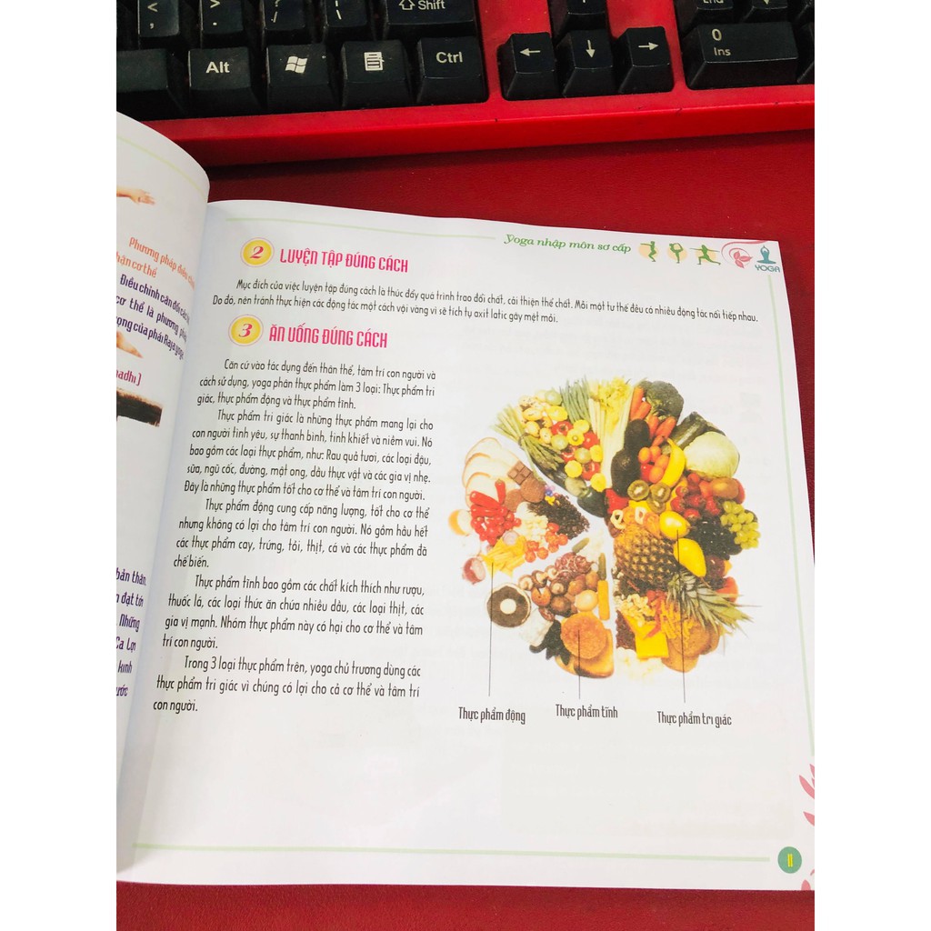 SÁCH - Yoga Nhập Môn Sơ Cấp (Kèm Đĩa DVD Hình) Gigabook | BigBuy360 - bigbuy360.vn