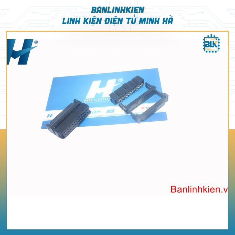 Đầu Nối IDE20 2.54MM Đực, Cái