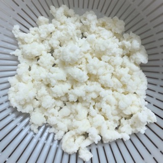 Nấm kefir / Nấm Tây Tạng