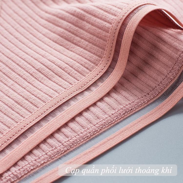 Quần Lót  Nữ thun lạnh dễ thương sexxy gợi cảm, Quần lót cotton tăm cạp 3 sọc kháng khuẩn NO806