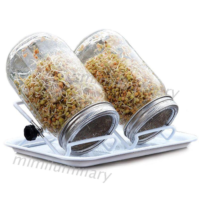 Nắp đậy nảy mầm giá bằng thép không gỉ miệng rộng IVY dành cho lọ đựng