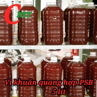 [ Vi khuẩn quang hợp PSB ], Màu đỏ thẩm, Dung tích 5000Ml. Giá SALE cực mạnh.