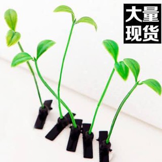 10 kẹp tóc mầm cây