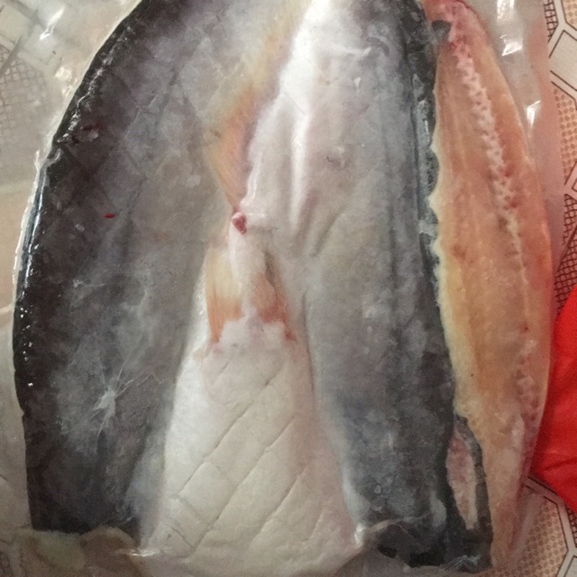 Cá dứa một nắng