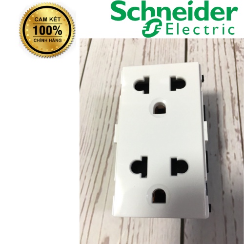 Ổ cắm đôi 3 chấu Schneider 16A size L  F1426UEST2M_G19