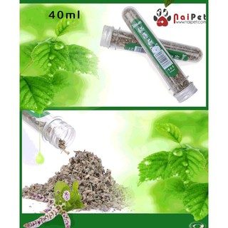 Cỏ Catnip Cỏ Bạc Hà Dạng Ống Cho Mèo Hahale 40g