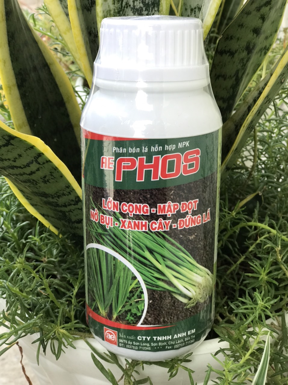 nở bụi hành AE PHOS 500ML [Có sẵn] [Chính hãng] [Ảnh thật]