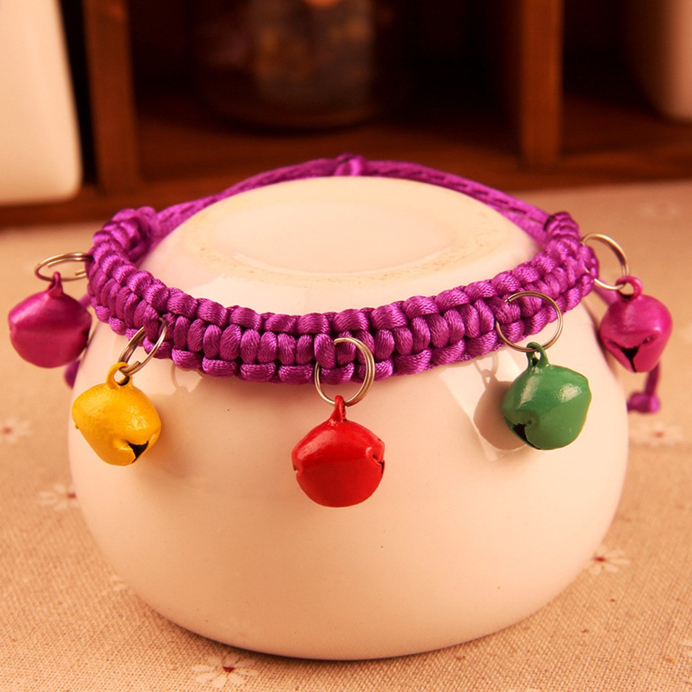 Vòng đeo cổ độc đáo dành cho thú cưng