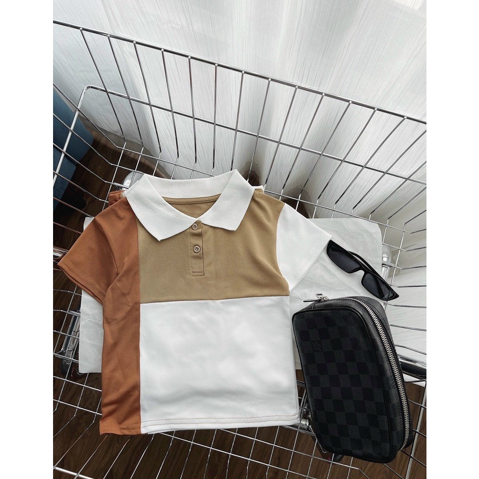 ADGD10 - ÁO POLO TRẮNG PHỐI NÂU GIA ĐÌNH BỐ MẸ BÉ