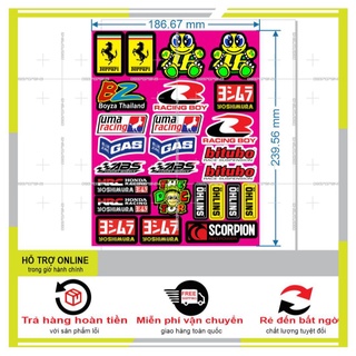 SHINDECAL- LOGO STICKER DÁN XE MÁY M72