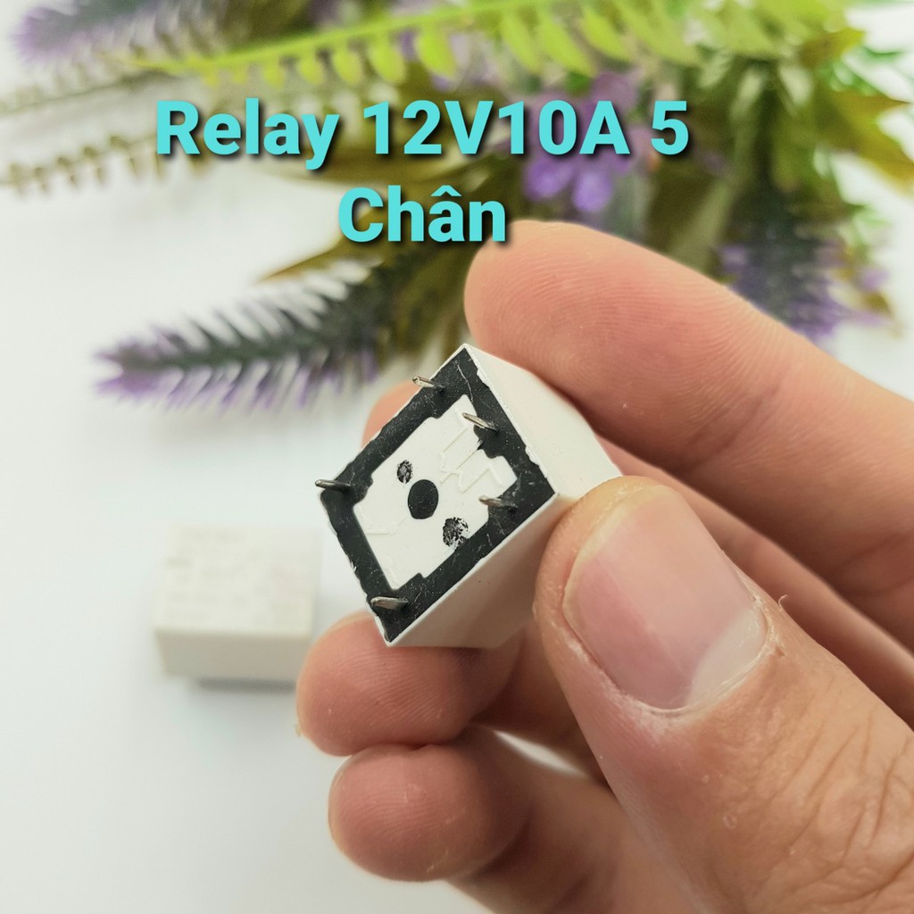 Combo Relay 12V10A 5 Chân SongChuan 20c