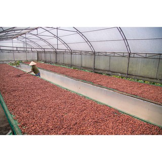 Bột ca cao CacaoMi Premium 470g