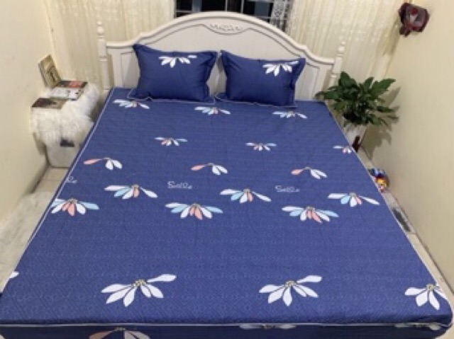 Vỏ chăn hàn quốc 100% cotton