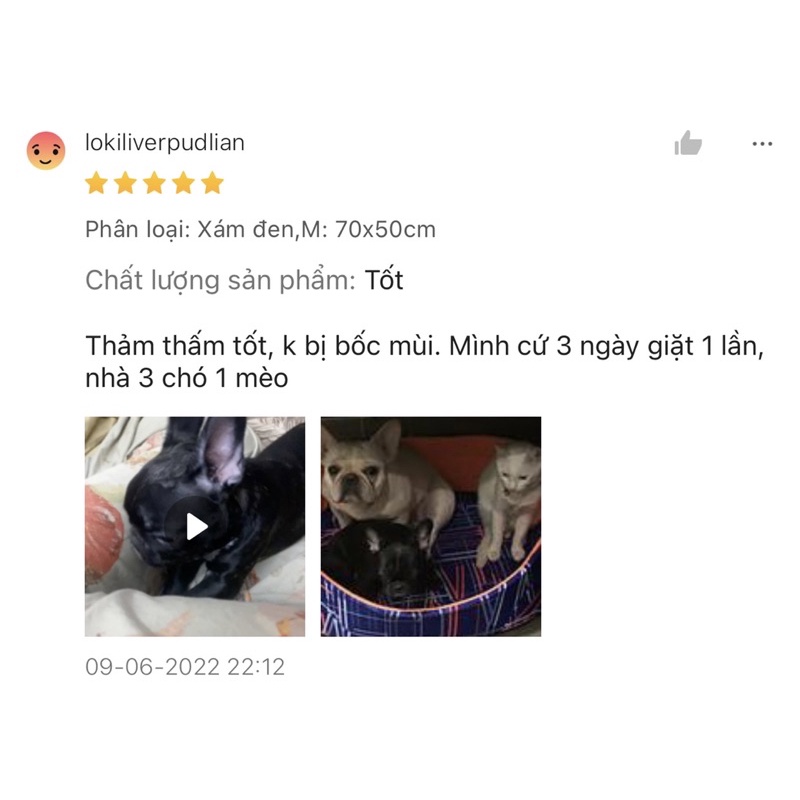 Thảm đi vệ sinh cho thú cưng có thể tái sử dụng nhiều lần – Thảm lót chống thấm chuyên dụng cho chó mèo siêu tiết kiệm