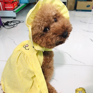 ÁO 2 DÂY TAI THỎ CHO CHÓ MÈO [QUẦN ÁO THÚ CƯNG]