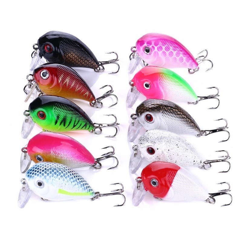 cá voi lưng gù siêu nhạy hàng cao cấp giao màu ngẫu nhiên