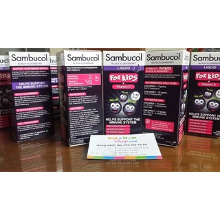 Vitamin tăng sức đề kháng của Anh - Sambucol