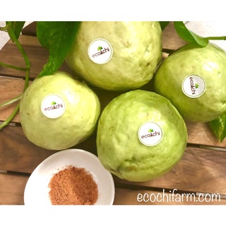 LÁ ỔI SẤY KHÔ 100g
