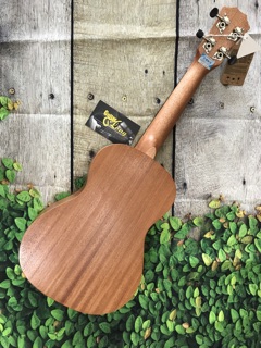 Đàn Ukulele Concert Thỏ Rabbit ❤️