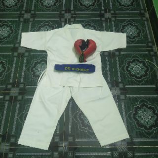 Võ phục Karate