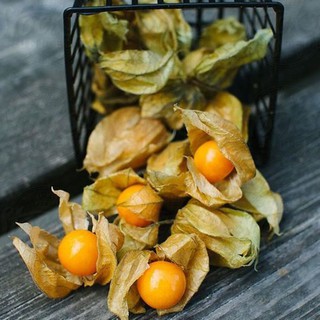 Hạt Giống Anh Đào Đất