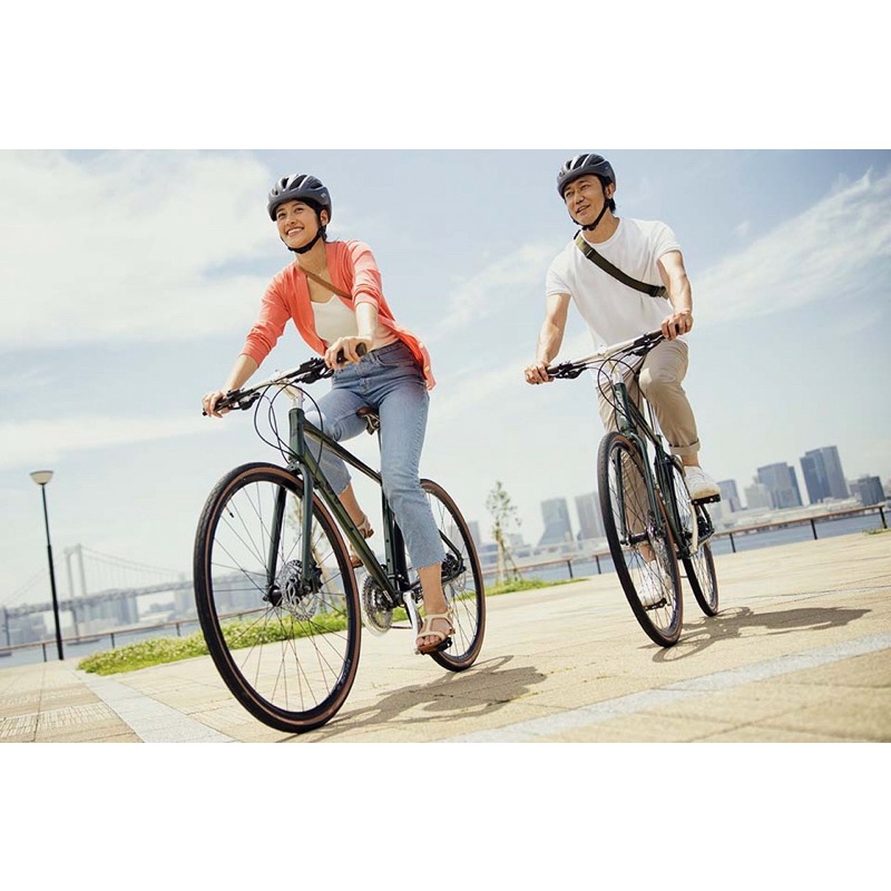 Xe đạp đường phố GIANT ESCAPE R3 MS 2022