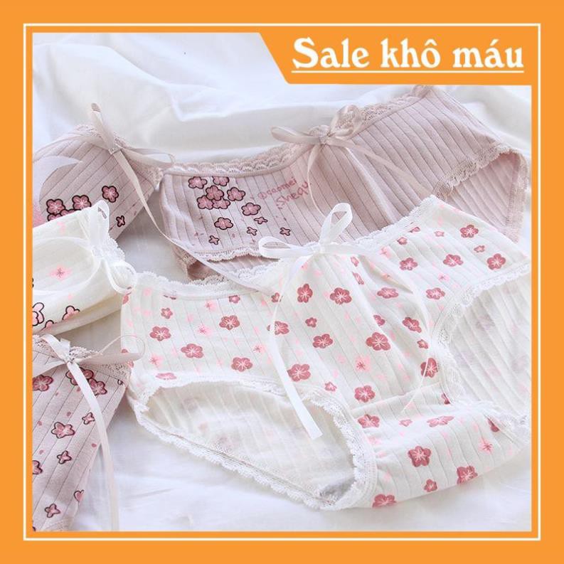 [FreeShip – Sale khô máu] SIZE XL 70KG - Quần lót nữ, quần lót cotton siêu co giãn hoa anh đào 5 hoạt tiết QC125