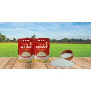 Gạo st24 bao 3kg và 5kg do cty giống cây trồng vn vinaseed phân phối.