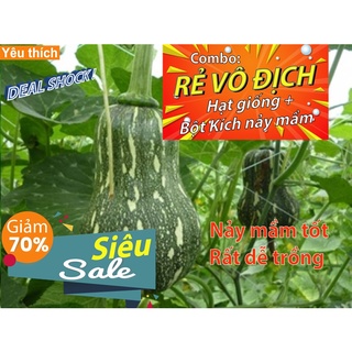 [Combo rẻ vô địch HẠT GIỐNG + GÓI HỖ TRỢ NẢY MẦM] - 3 HẠT GIỐNG BÍ ĐỎ HỒ LÔ