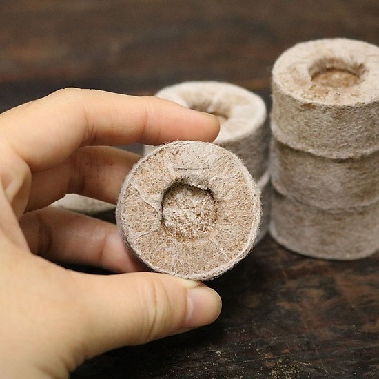 Viên nén ươm hạt xơ dừa