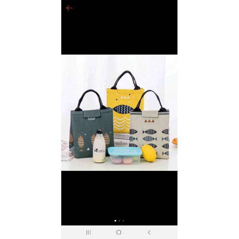 túi đựng giữ nhiệt hình cá