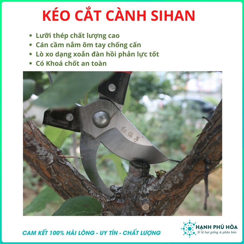 Kéo Cắt Cành Sihan Đài Loan - Chăm sóc cây trồng