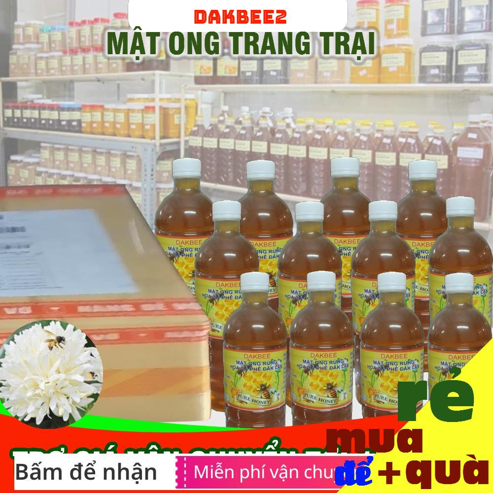 12 LÍT (12 CHAI) MẬT ONG RỪNG HOA CÀ PHÊ - GIÁ BÁN SỈ CAM KẾT CHẤT LƯỢNG, GIÁ ƯU ĐÃI KHÔNG QUA TRUNG GIAN - DAKBEE