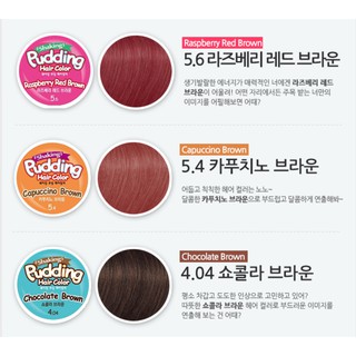 Nhuộm tóc EZN Shaking Pudding Hair Color