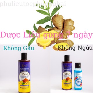 Dầu gội xả Gừng Catchy 2 in 1 6 ngày không gâu không ngứa tăng sữa tắm 100ml