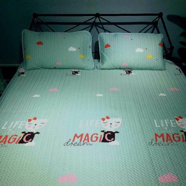 Chiếu tencel 1m8