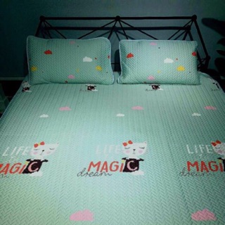 Chiếu tencel 1m8
