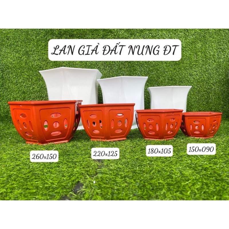 Chậu Lan giả đất nung hiệu đồng tiền hàng dày đẹp