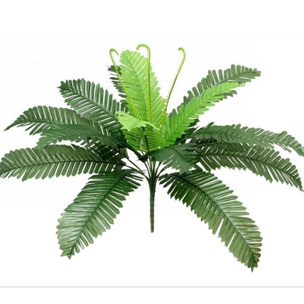 Cây dương xỉ trang trí,cụm điểm trang trí