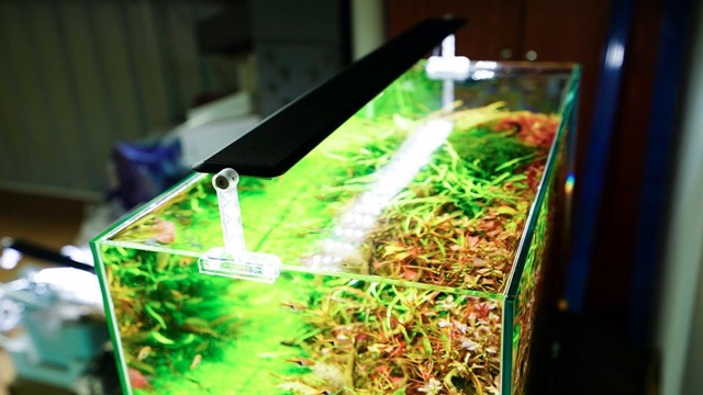 ĐÈN LED CHIHIROS A2 VERSION 2