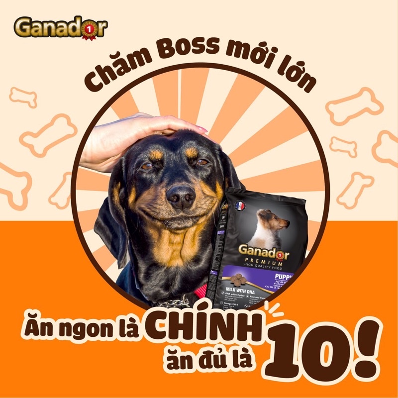 Thức Ăn Hạt Khô Ganador, Đồ Ăn Cho Chó Con, Chó Lớn 400g