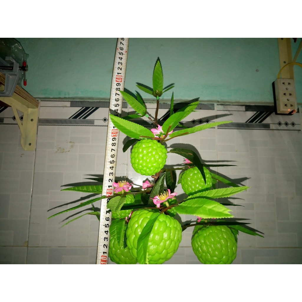 Cây na giả cao 45cm