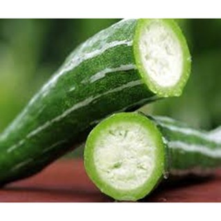 Hạt giống Mướp ngọt (Lặc lày) - Gói 5 hạt