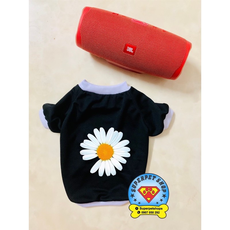 ÁO THÚ CƯNG BÔNG CÚC HOT TREND SIÊU XINH GIÁ RẺ